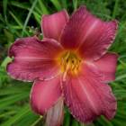 DSCN0643.JPG