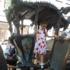 DSCN0807.JPG