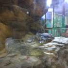 IMG_20171112_191414