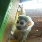 DSCN4872.JPG