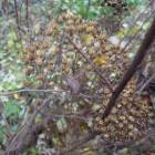 DSCN5053.JPG