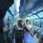 DSCN9908.JPG