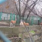 DSCN4938.JPG