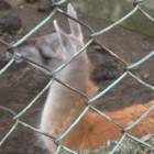 DSCN4943.JPG