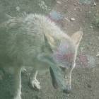 DSCN0210.JPG