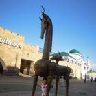 DSCN0821.JPG