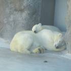 IMG_1774.JPG