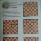 Защита атакующей фигуры.JPG