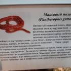 Выставка зоопарк "Живые тропики"60570