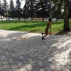 DSC06730.JPG
