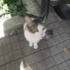 DSCN0593.JPG