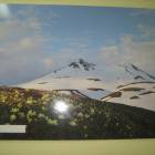 IMG_4172.JPG