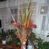 DSC04295.JPG