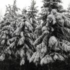 IMG_20171206_134804