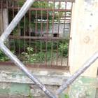 DSC05928.JPG