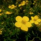 DSCN1645.JPG