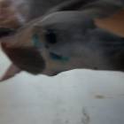 20170626_103252