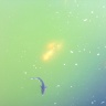 06092011365