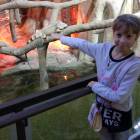 IMG_20171112_184931