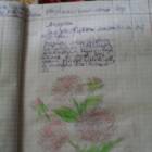 мой читательский дневник 274393