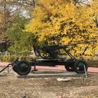 IMG_5317.JPG