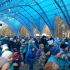 дружно на зеленый фитнес90257