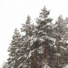 IMG-20171207-WA0003