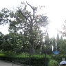 2013 021.JPG