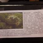 Выставка зоопарк "Живые тропики"60533