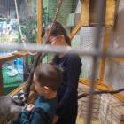 Парк бабочек.86903