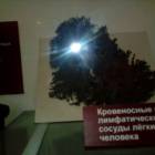 Биологический музей г. Москва 49
