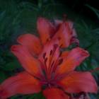 DSCN0204.JPG