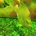DSCN9953.JPG