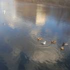 20191025_144408