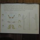 DSCN5664.JPG