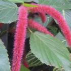 DSCN4790.JPG