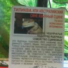DSCN4868.JPG