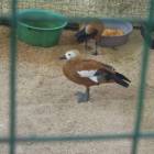 DSCN4957.JPG