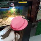 20170715_120540