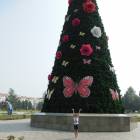 DSCN0336.JPG