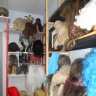 DSCN2071.JPG