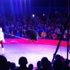 DSC07419.JPG