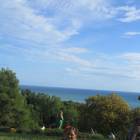 IMG_0970.JPG
