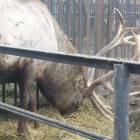 DSCN4908.JPG