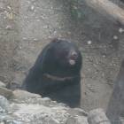 DSCN0206.JPG