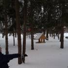 20170215_162503