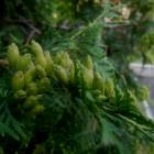 DSCN0316.JPG