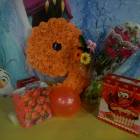 DSCN0081.JPG