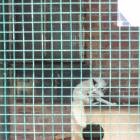 DSC05962.JPG
