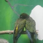 DSCN0396.JPG